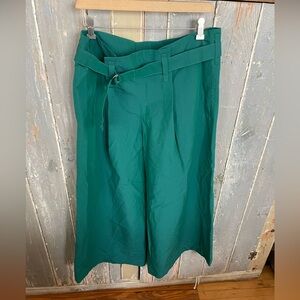 Issey Miyake 1325 Green Wide-Leg Belted Pants